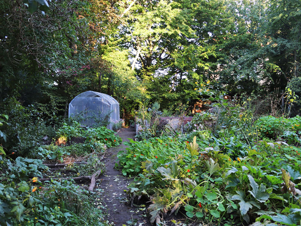 Stadtgarten Connewitz im Herbst, Foto: Ökolöwe