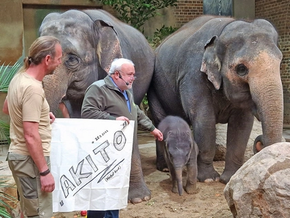 Elefantenjungtier im Zoo Leipzig hat seinen Namen bekommen Elefantenjungtier im Zoo Leipzig hat seinen Namen bekommen