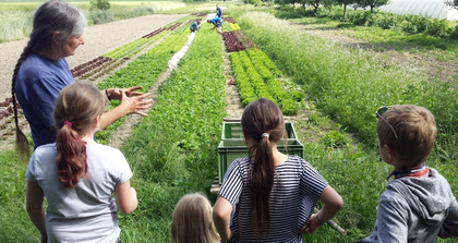 Ökolöwe Leipzig erhält Sächsischen Umweltpreis