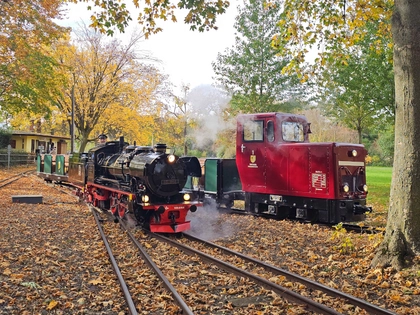 Parkeisenbahn Auensee e.V.