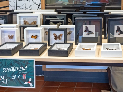 Last-Minute-Geschenke im Botanischen Garten Leipzig