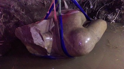 Fragmente des Kolosses von Heliopolis geborgen Fragmente des Kolosses von Heliopolis geborgen