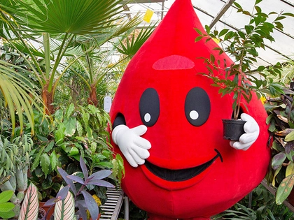 Blutbank des Leipziger Universitätsklinikums wirbt im September mit zwei Aktionen um Blutspender und Blutspenderinnen