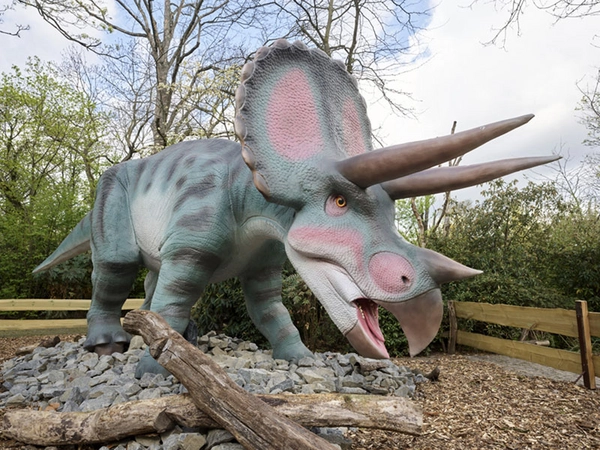 Triceratops im Zoo Leipzig, Foto: Zoo Leipzig