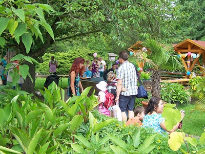 Es wird gefeiert: 130 Jahre Botanischer Lehrgarten in Leipzig