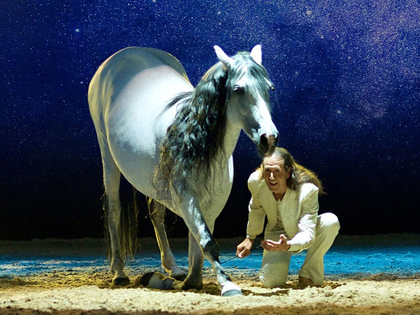 Keine PARTNER PFERD in Leipzig ohne Show