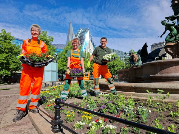 Heute startet die Sommerbepflanzung der Leipziger Beete, Foto: Stadtreinigung Leipzig