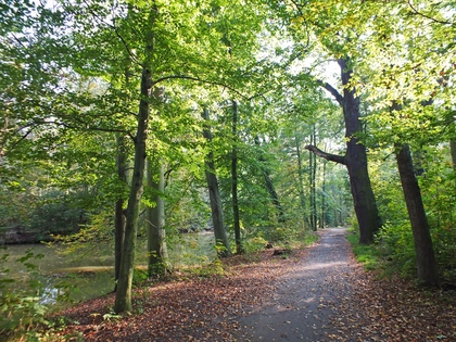 Projekt "Lebendige Luppe" stellt bei einer Exkursion Pflanzen und Forschung im Auwald vor Projekt "Lebendige Luppe" stellt bei einer Exkursion Pflanzen und Forschung im Auwald vor