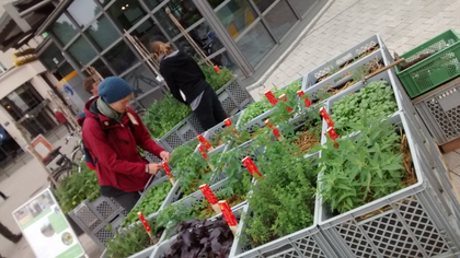 BiodiverCity – Artenvielfalt in der Stadt