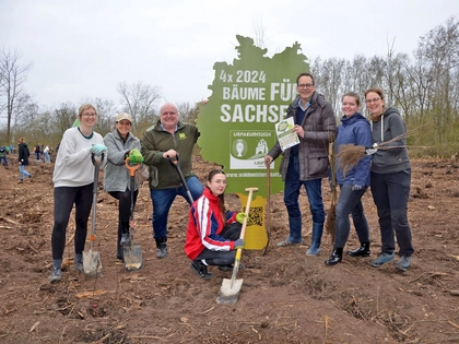 Ziel erreicht - Leipzig ist Waldmeister mit 4 x 2024 gepflanzten Bäumen