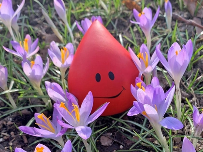 Blutbank es Universitätsklinikums Leipzig lädt mit zwei Gewinnaktionen zum Blutspenden ein