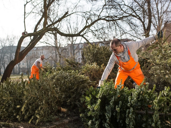 Foto: Stadtreinigung Leipzig
