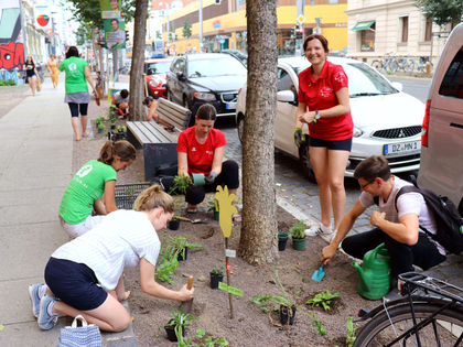 Ökolöwen und Sparkasse Leipzig schaffen weitere Blühflächen mit Schülern und Eltern