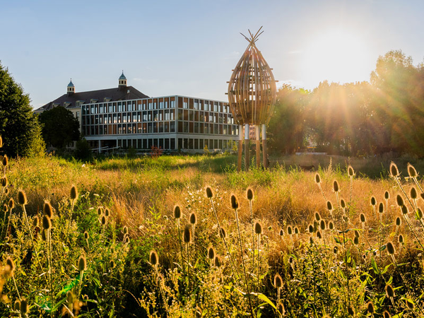 Das Amt für Stadtgrün und Gewässer Leipzig hat einen Park in der Rietzschkeaue Leipzig, Sellerhausen angelegt. Foto: Steffen Junghans