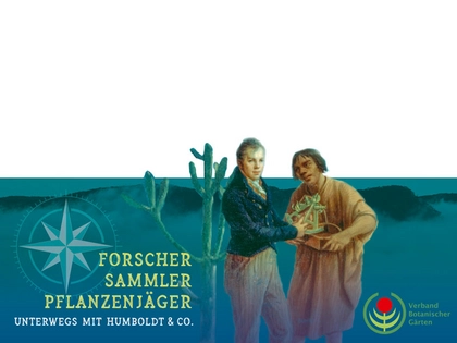 Ausstellung im Botanischen Garten widmet sich der Jagd nach dem grünen Gold