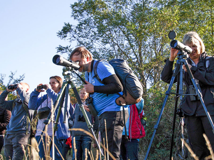 Zugvogelbeobachtung mit dem NABU Leipzig am Kiessandtagebau Rehbach