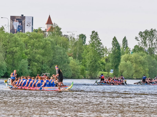 Foto: Pink Dragons Leipzig