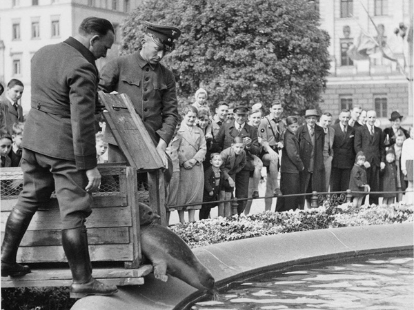 Robben im Mendebrunnen, aufgenommen vom Fotografen Max Ellrich. Quelle: Stadtarchiv Leipzig