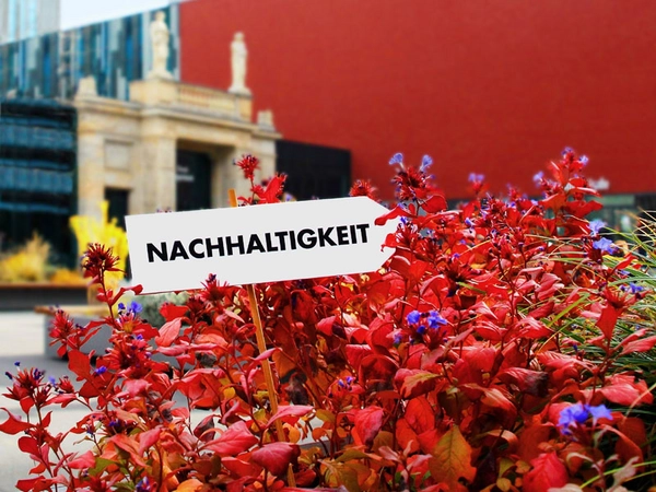 Auf dem Weg zur nachhaltigen Universität. Foto: Katarina Werneburg und Thomas Häse / Universität Leipzig