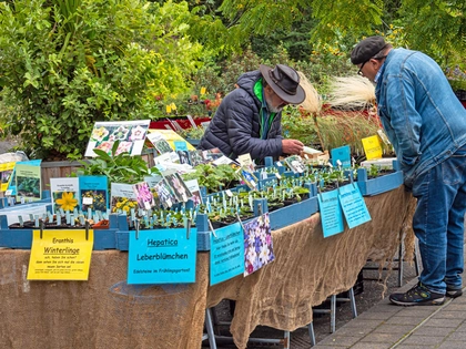 Leipziger Herbst-Pflanzenmarkt 2024