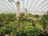 Blick durch die Tropenerlebniswelt Gondwanaland, Quelle: 