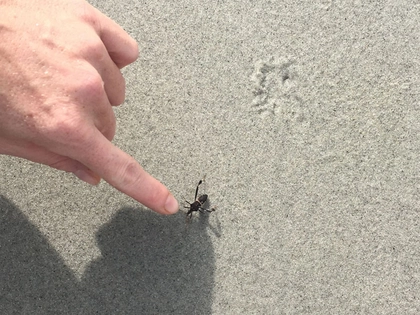 D21 Kunstraum wird zukünftig von der Stadt Leipzig institutionell gefördert