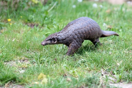 Entdeckertage Artenschutz im Zoo Leipzig Entdeckertage Artenschutz im Zoo Leipzig