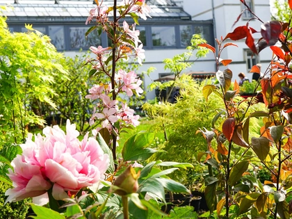 18. Leipziger Frühjahrspflanzenmarkt im Botanischen Garten