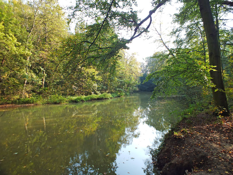 Auwald, Quelle: Auwald, Quelle: