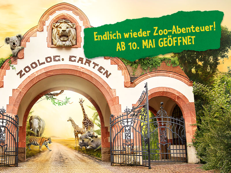 Discover the Enchanting World of Bild Zoo Leipzig: A Journey Through Wildlife and Conservation