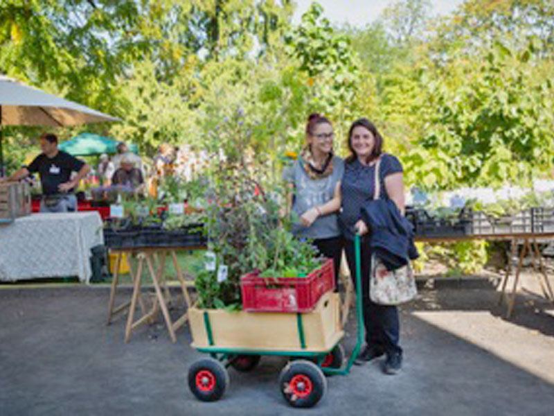 Endlich wieder FrühjahrsPflanzenmarkt im Botanischen Garten Leipzig
