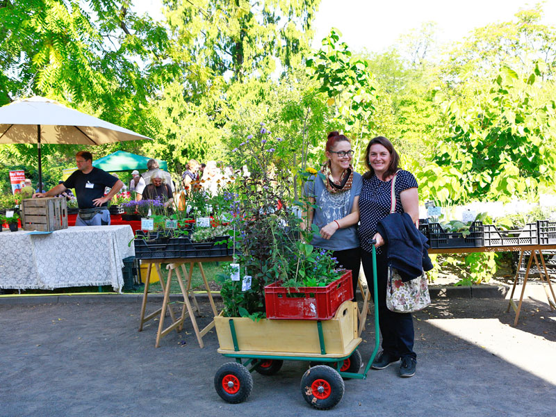 10 Jahre Pflanzenmarkt im Botanischen Garten Leipzig LEIPZIGINFO.DE