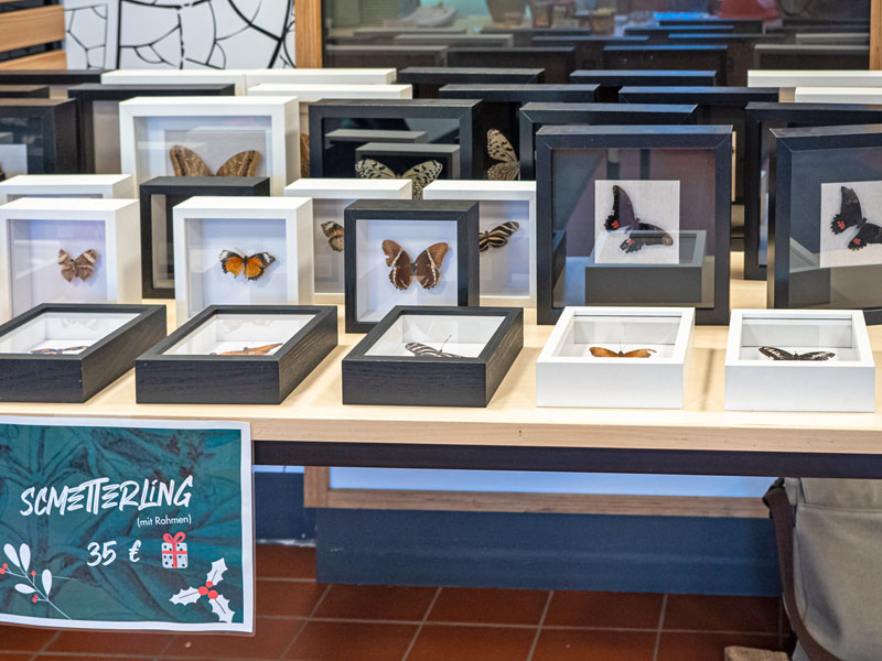 LastMinuteGeschenke im Botanischen Garten Leipzig LEIPZIGINFO.DE