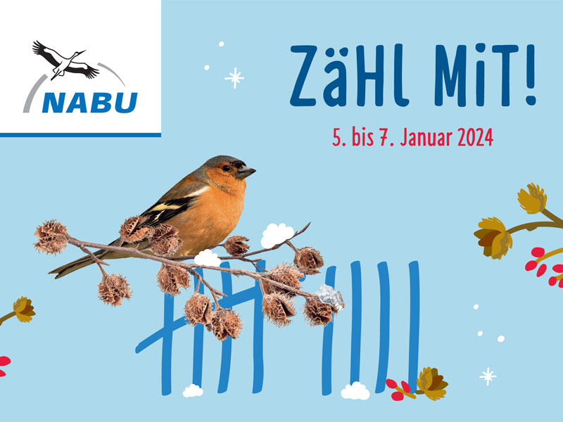 NABU ruft wieder zur „Stunde der Wintervögel“ auf LEIPZIGINFO.DE
