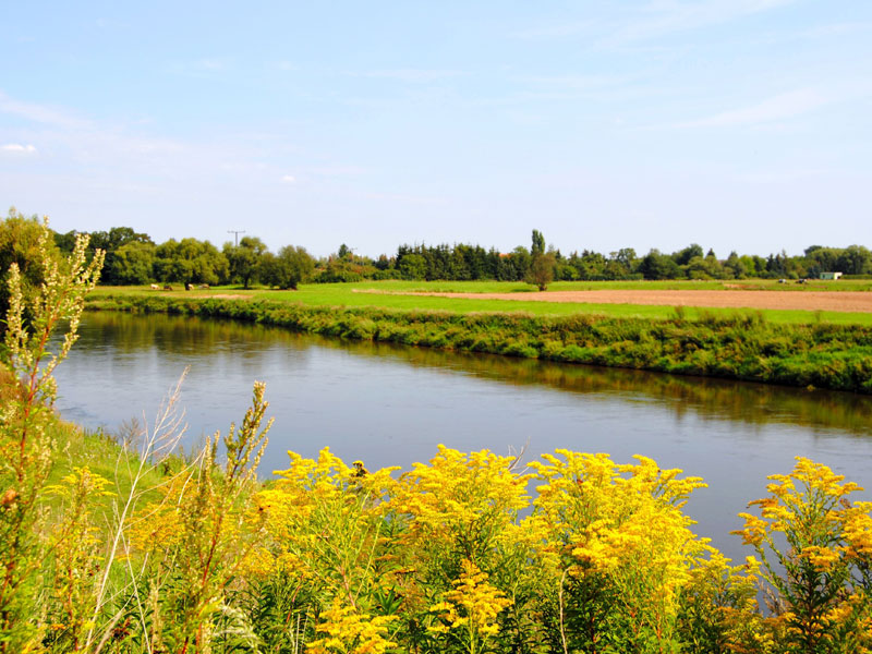 Dübener Heide: Mulde, Foto: Andreas Schmidt