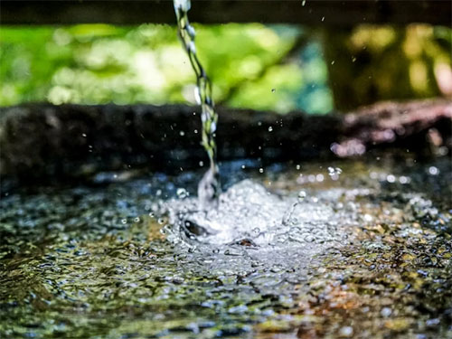 Foto: unsplash.com / Frank Albrecht