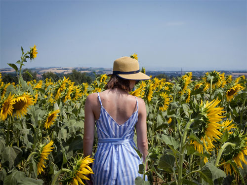 Foto: unsplash.com / ksmetherman