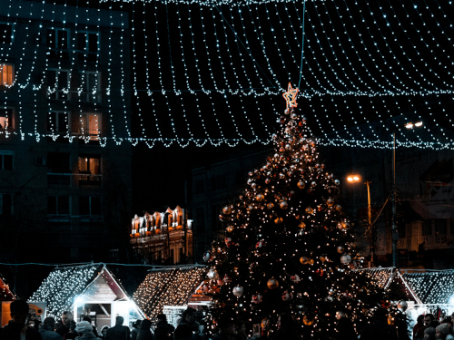 Foto: pexels.com / Sebi Pintilie