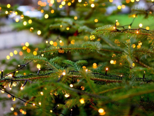 Foto: pixabay.com / congerdesign