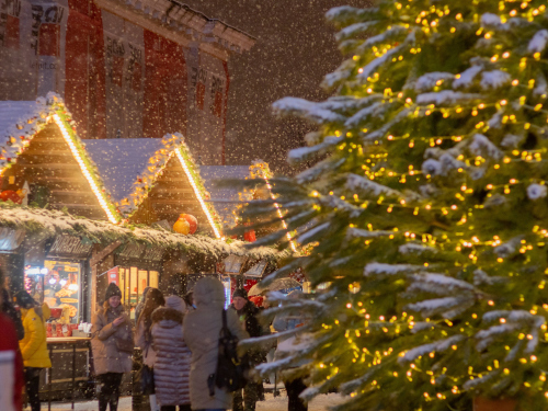 Foto: unsplash.com / miracleday