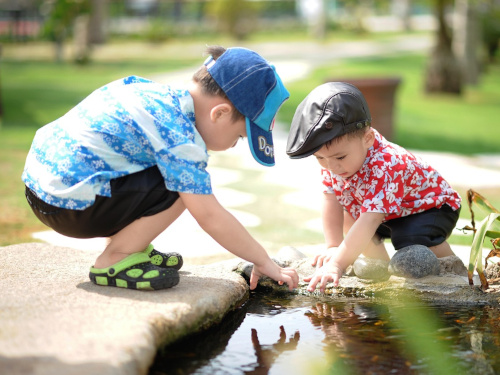 Foto: pixabay.com / haibaron Foto: pixabay.com / haibaron