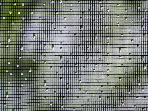 Foto: pixabay.com / sandid