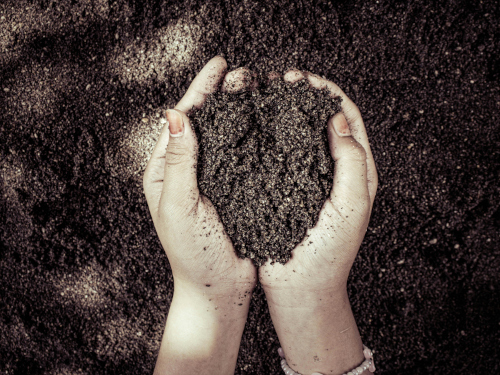 Foto: pexels.com / Rain Photography