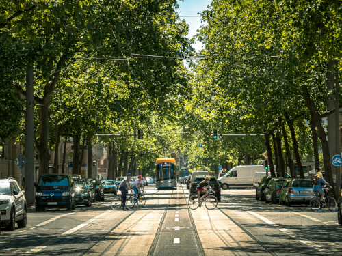 Foto: unsplash.com