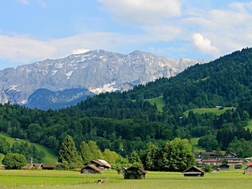 Foto: pexels.com / pixabay