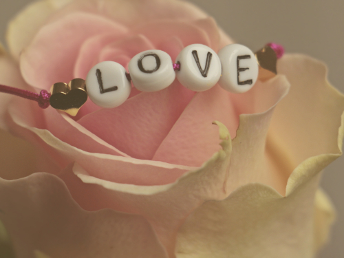 Foto: pixabay.com / noname_13